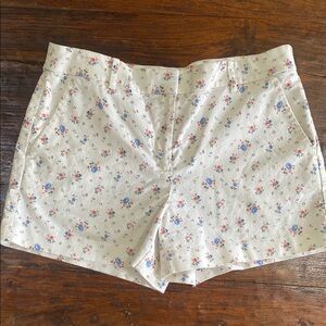 Loft shorts, size 10